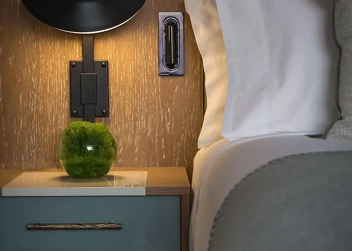 都柏林康拉德酒店 5*